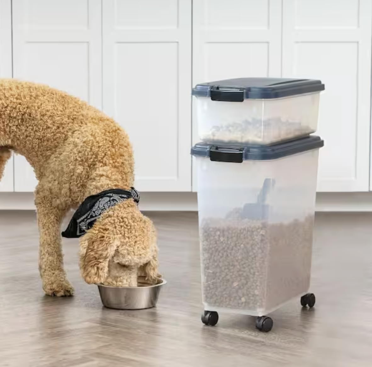 54-Pound Airtight Pet Food Storage with Scoop W141623