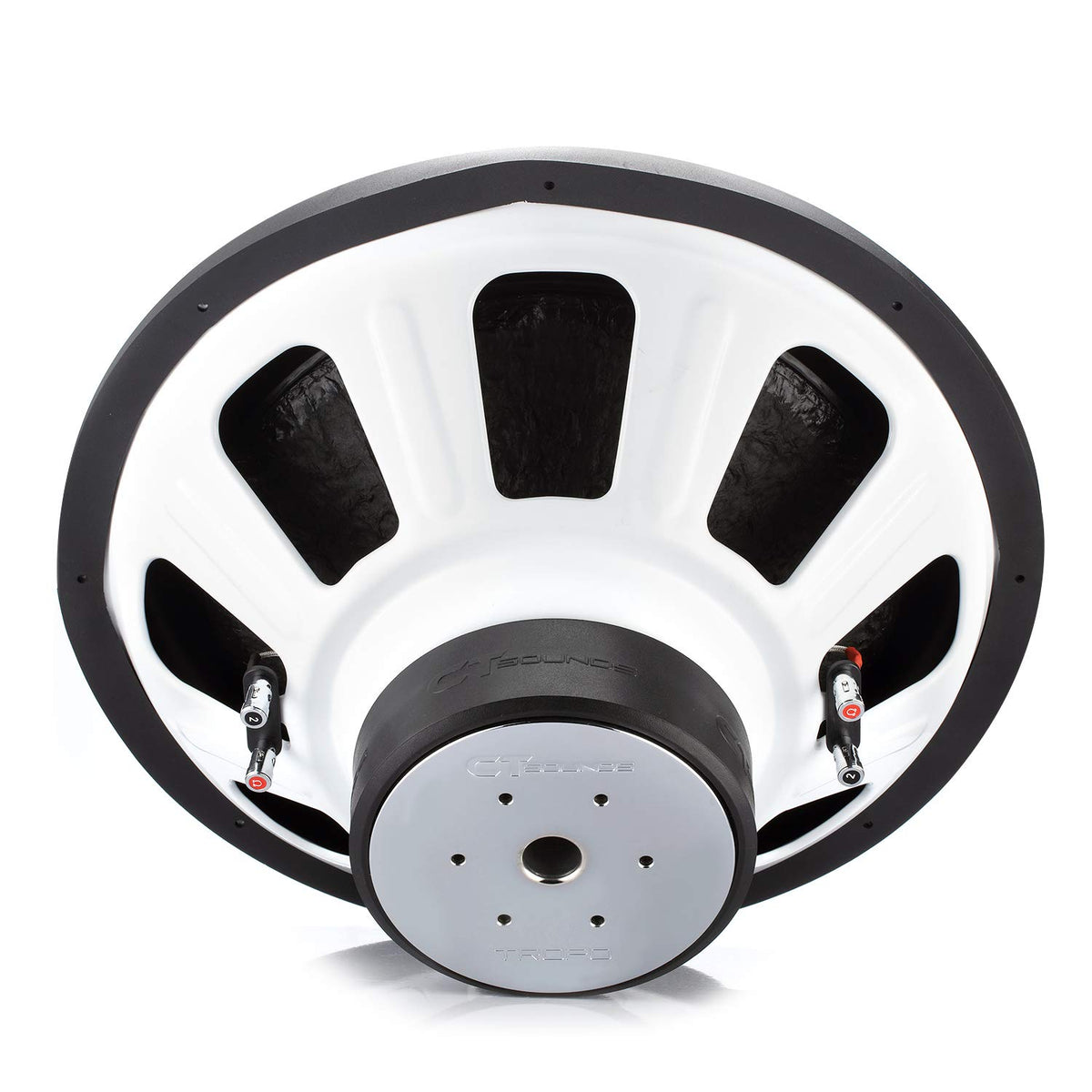 18 Inch Car Subwoofer Dual 2 Ohm I25017