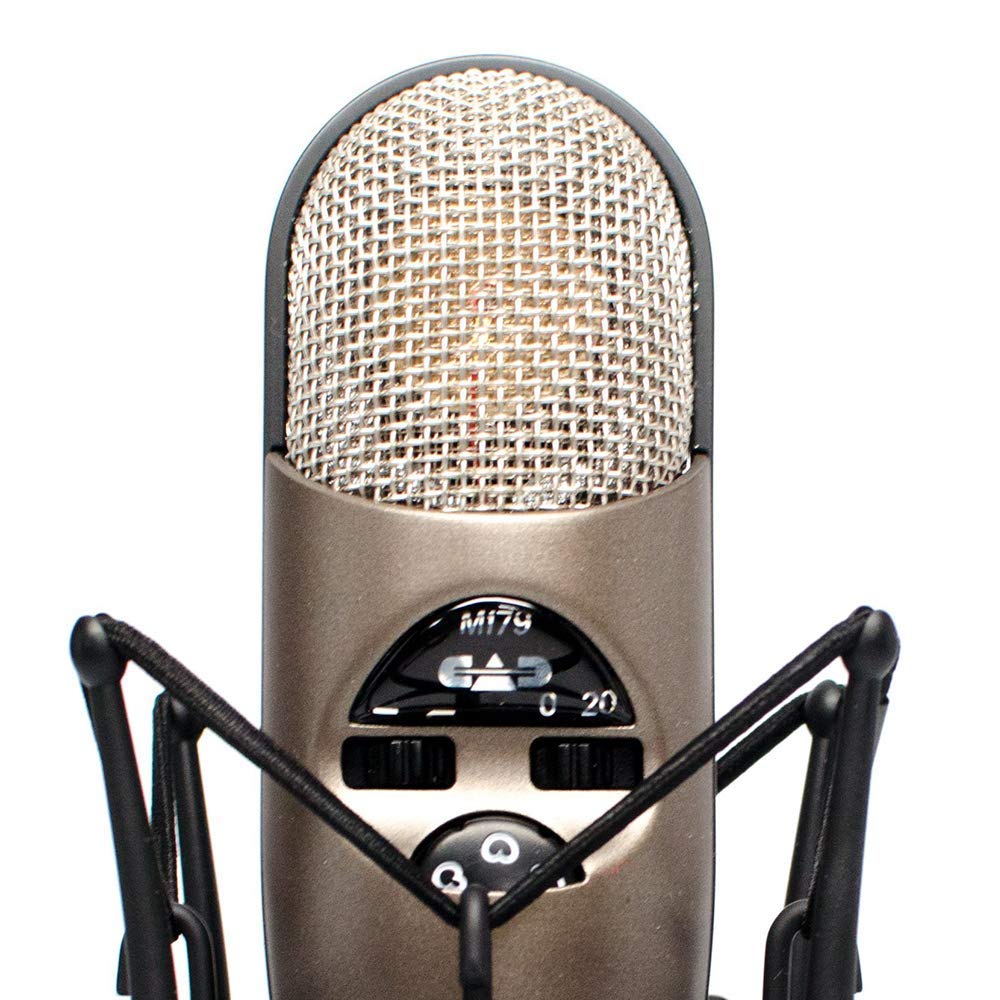 Large Diaphragm Condenser Microphone & USB Audio Interface C167