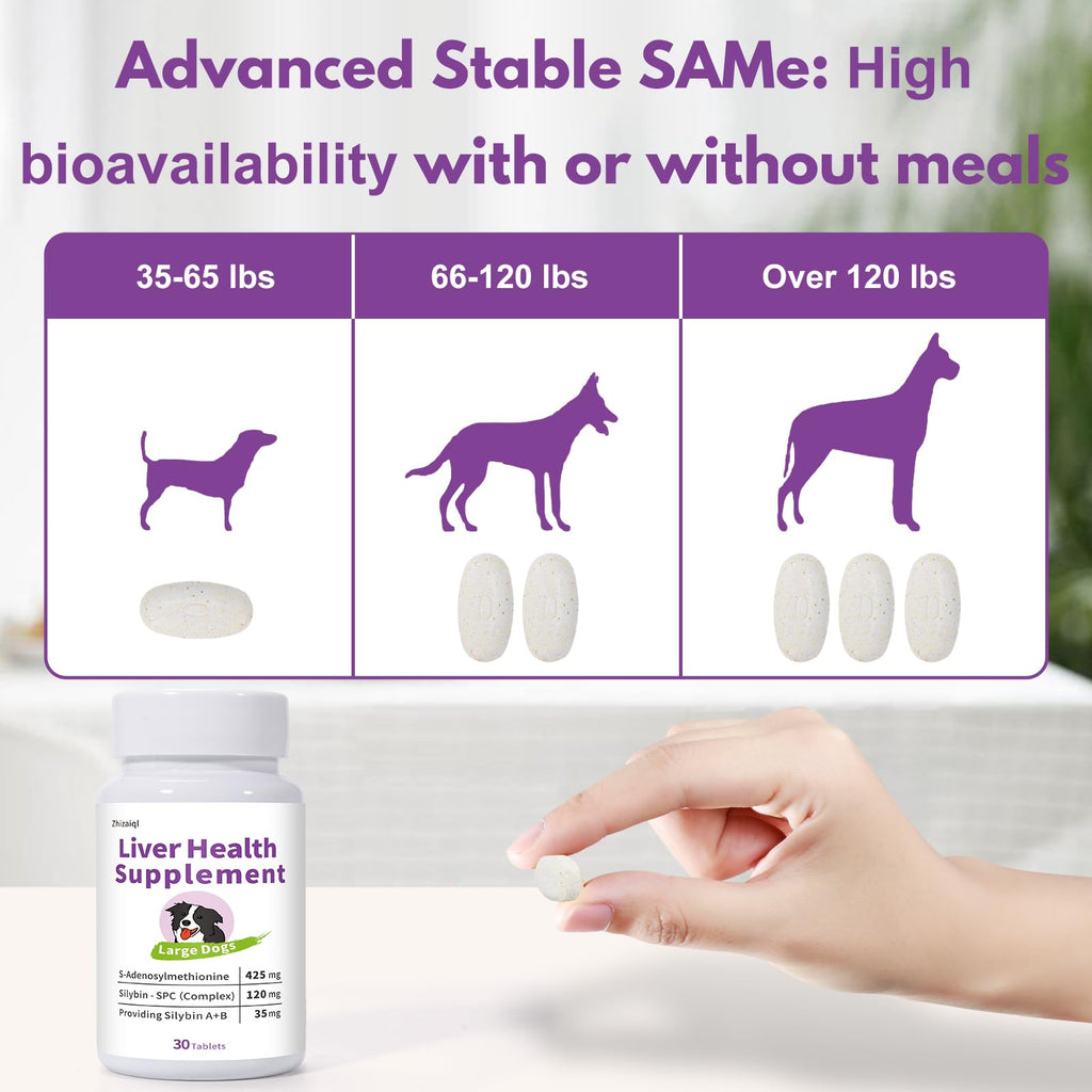Large Dog Liver Support with 425 mg S-Adenosylmethionine & Silybin A+B, 30 Tablets Q58037