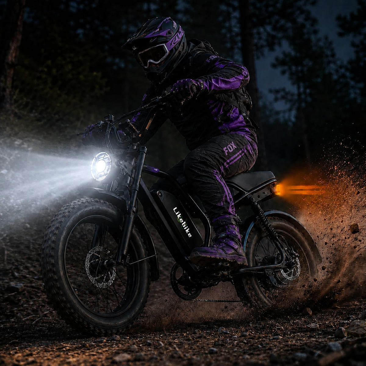 1500W 80 Miles 48V 20AH Electric Bike N218692