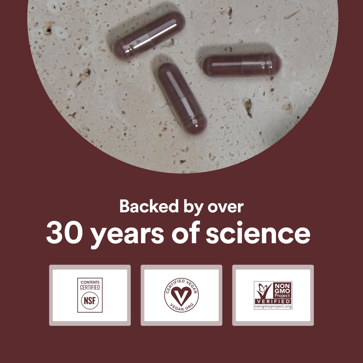 750mg Cocoa Flavanols Vegan Gluten-Free Cocoa B529953