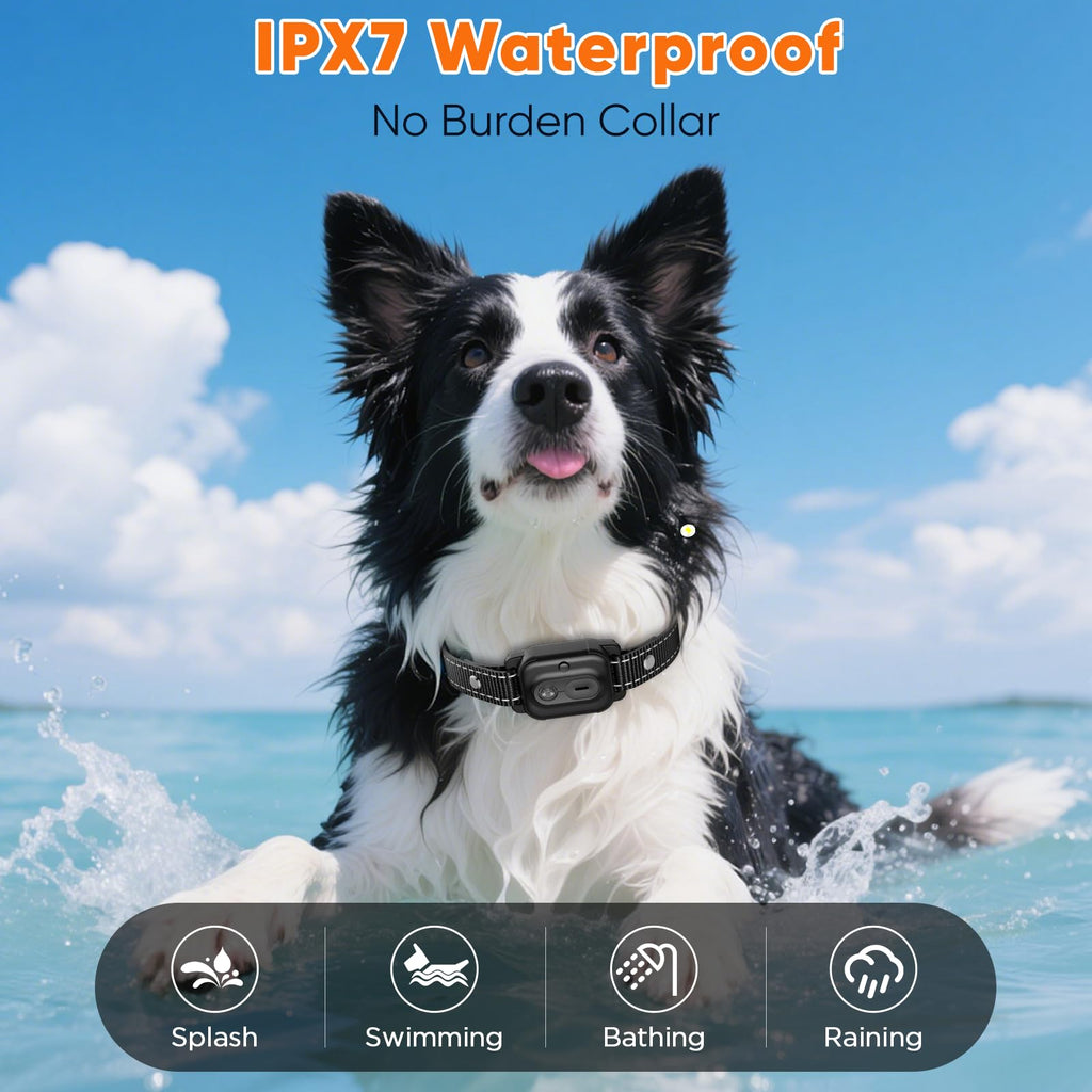 Orange Dog Training Collar with Remote G282