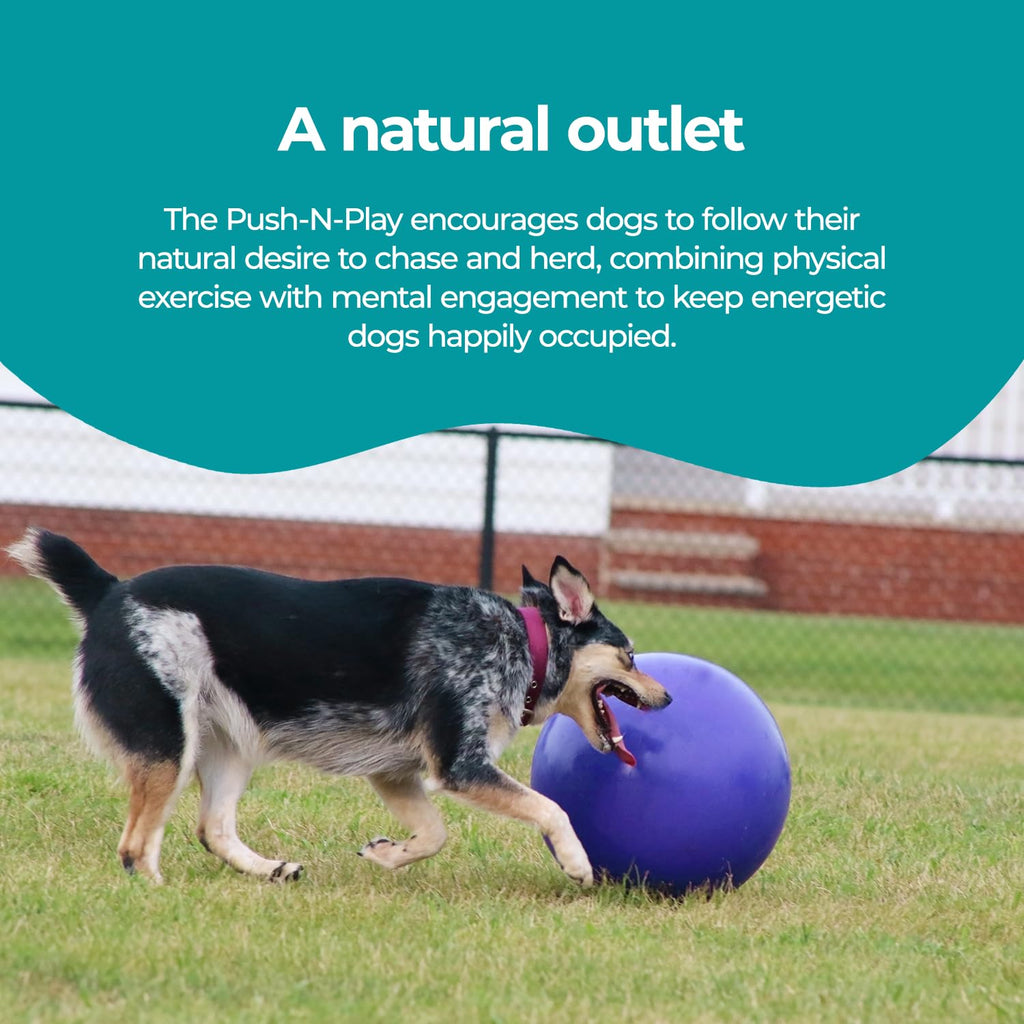 Blue Extra-Large Dog Toy J35587