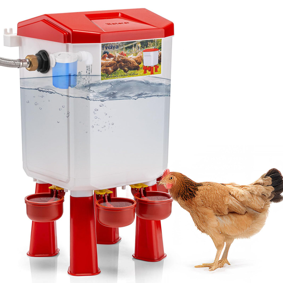 Automatic Chicken Waterer with Stainless Steel Hose H385551
