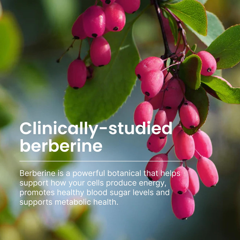 550mg Berberine Capsules 30 Ct W90950