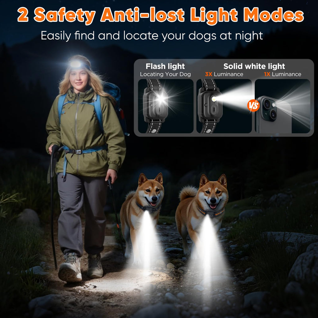 Orange Dog Training Collar with Remote G282