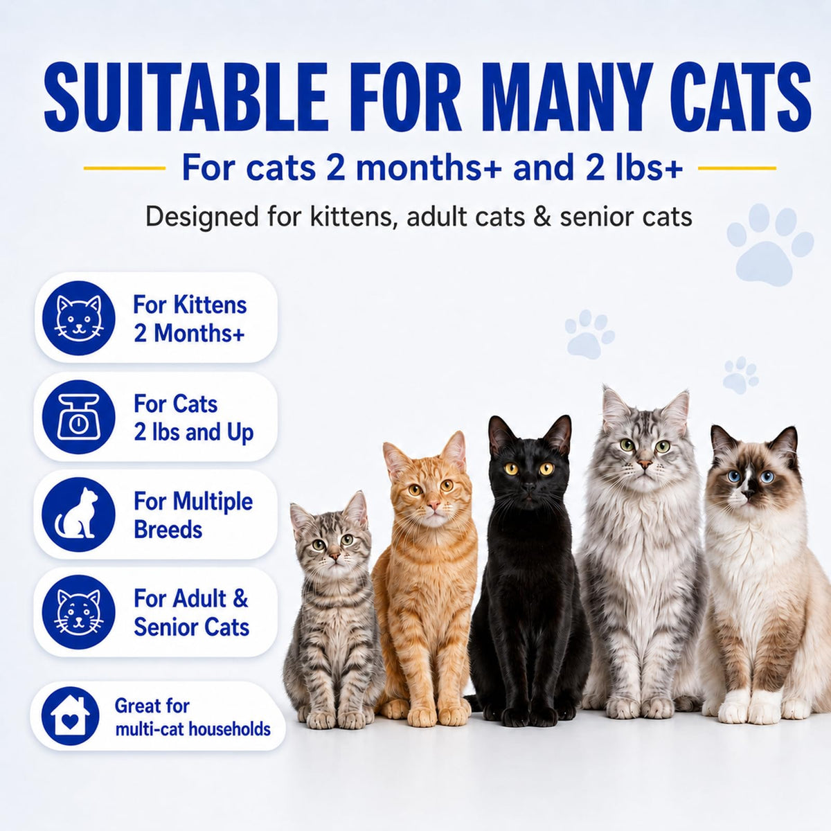Cat Dewormer Tablets for Tapeworms, Roundworms and Hookworms R958874