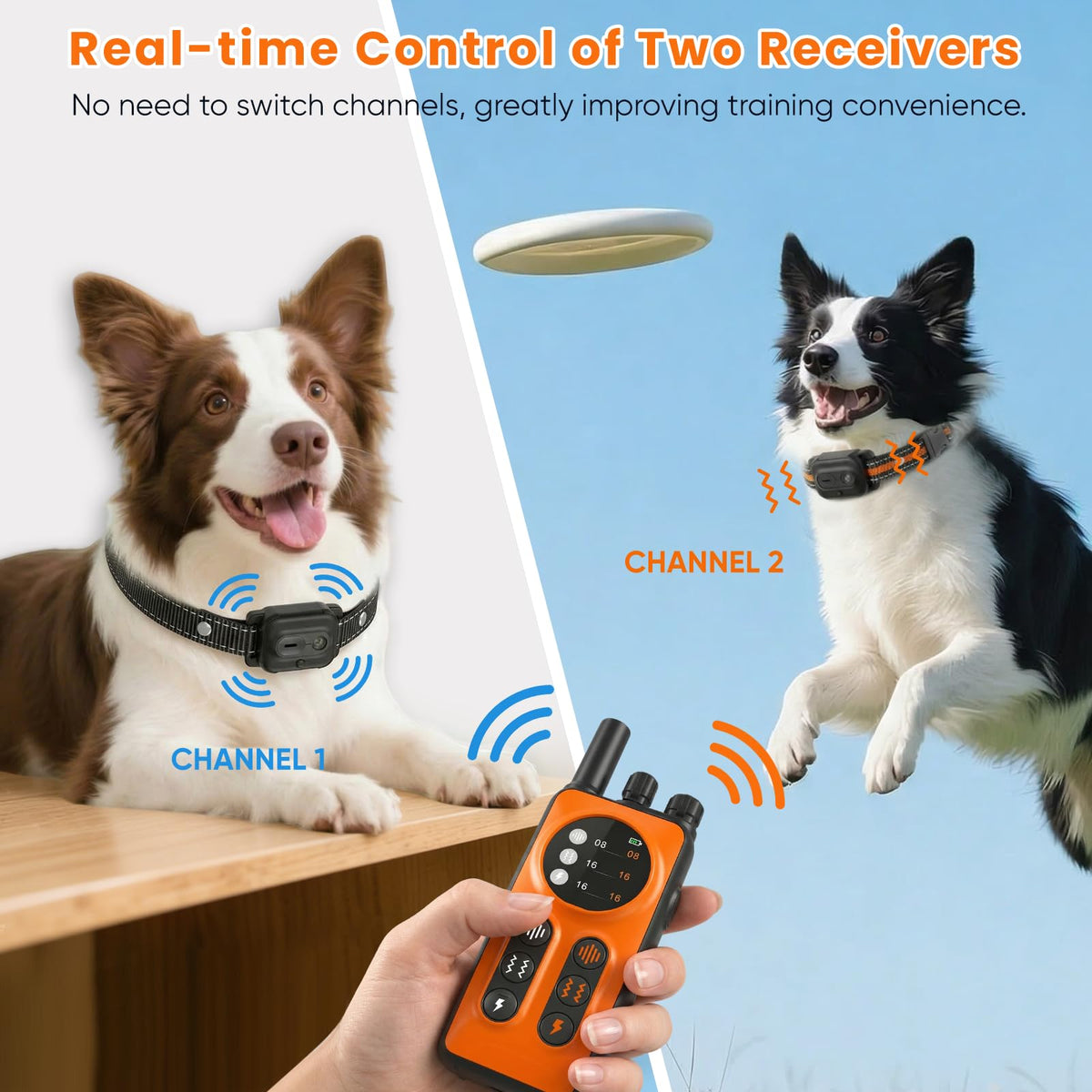 Orange Dog Training Collar with Remote G282