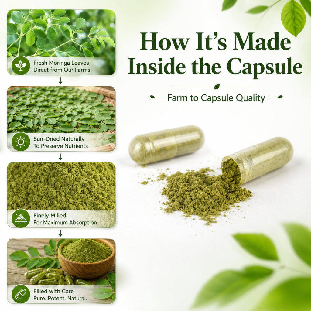 Organic Moringa Capsules 800mg 120 Count M420