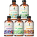 Rosemary Tea Tree Lavender Peppermint Cinnamon Essential Oil 4 FL Oz L5548