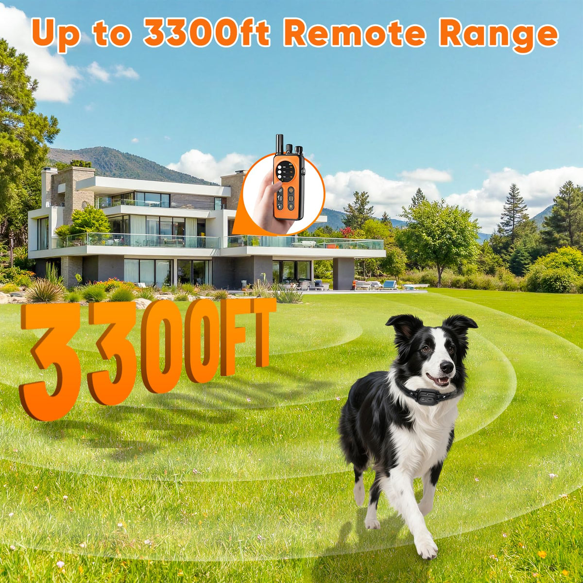 Orange Dog Training Collar with Remote G282