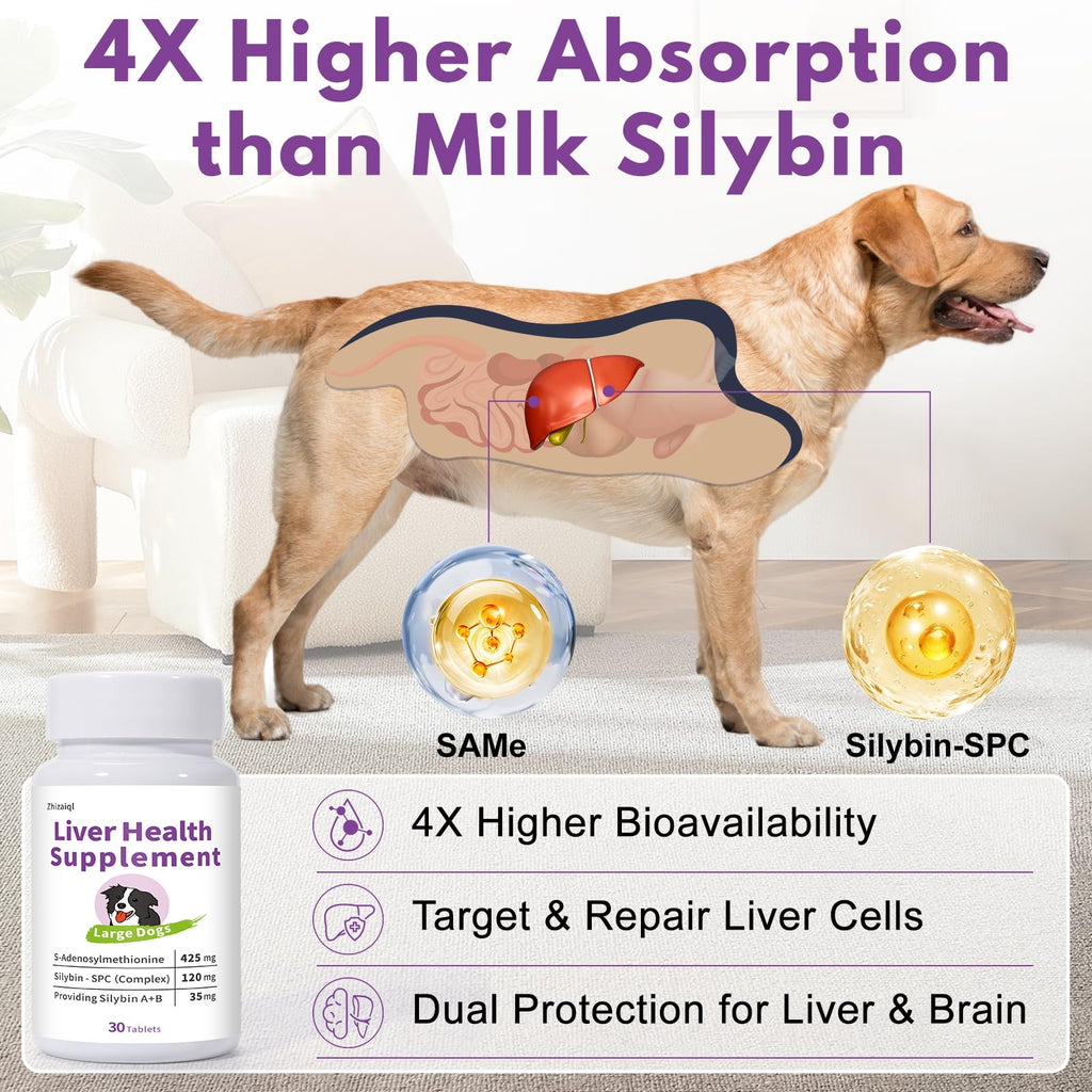 Large Dog Liver Support with 425 mg S-Adenosylmethionine & Silybin A+B, 30 Tablets Q58037