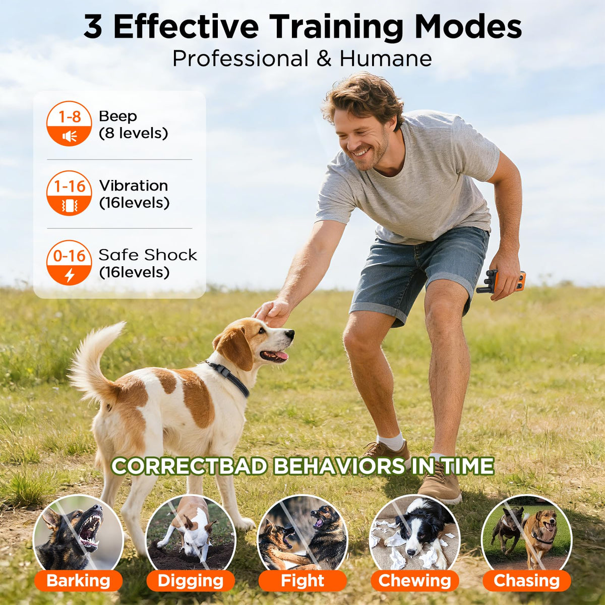 Orange Dog Training Collar with Remote G282