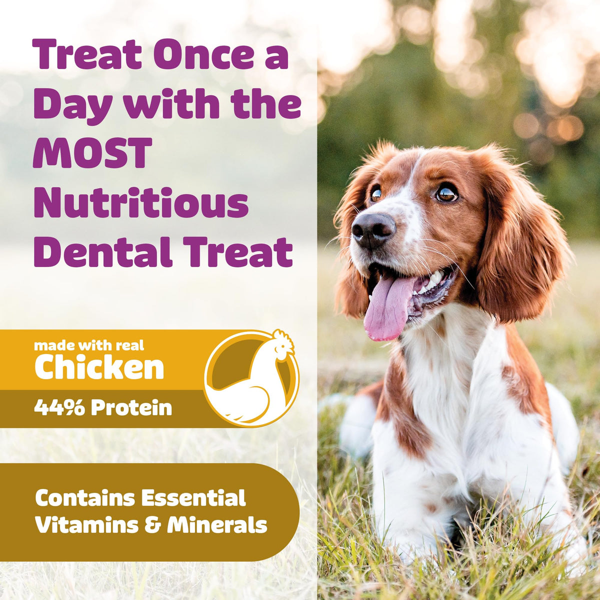 Chicken Dog Dental Treats Large 24oz & Medium 36 oz X579793