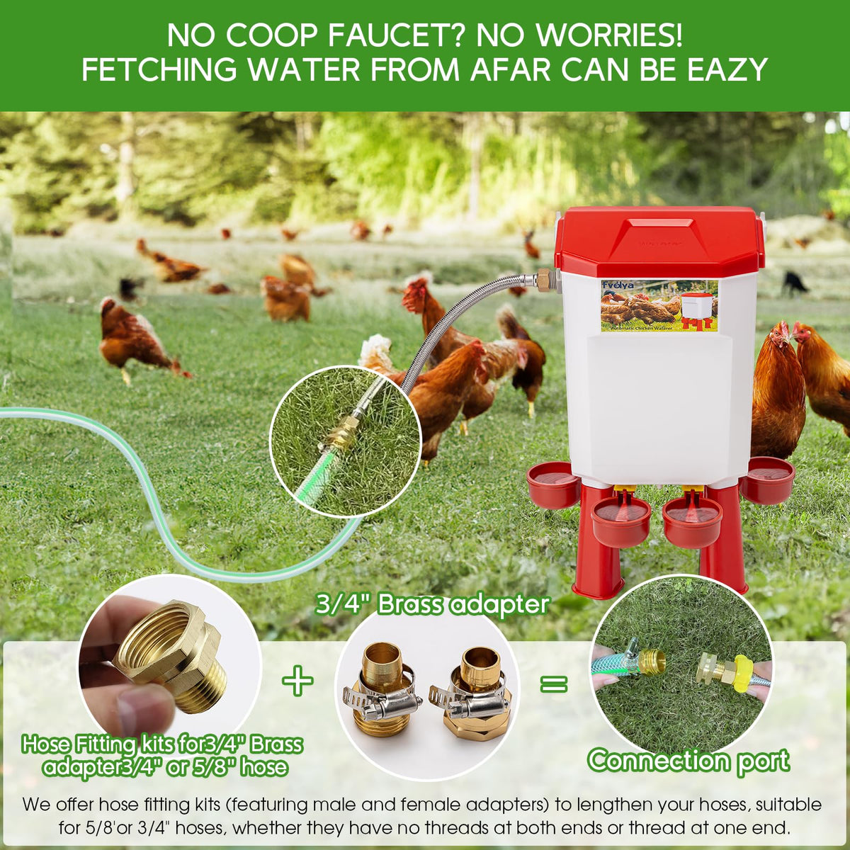 Automatic Chicken Waterer with Stainless Steel Hose H385551