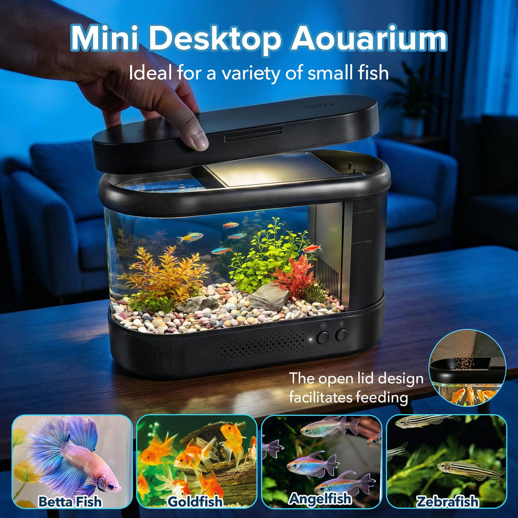 Black 1 Gallon Acrylic Aquarium Kit K45628