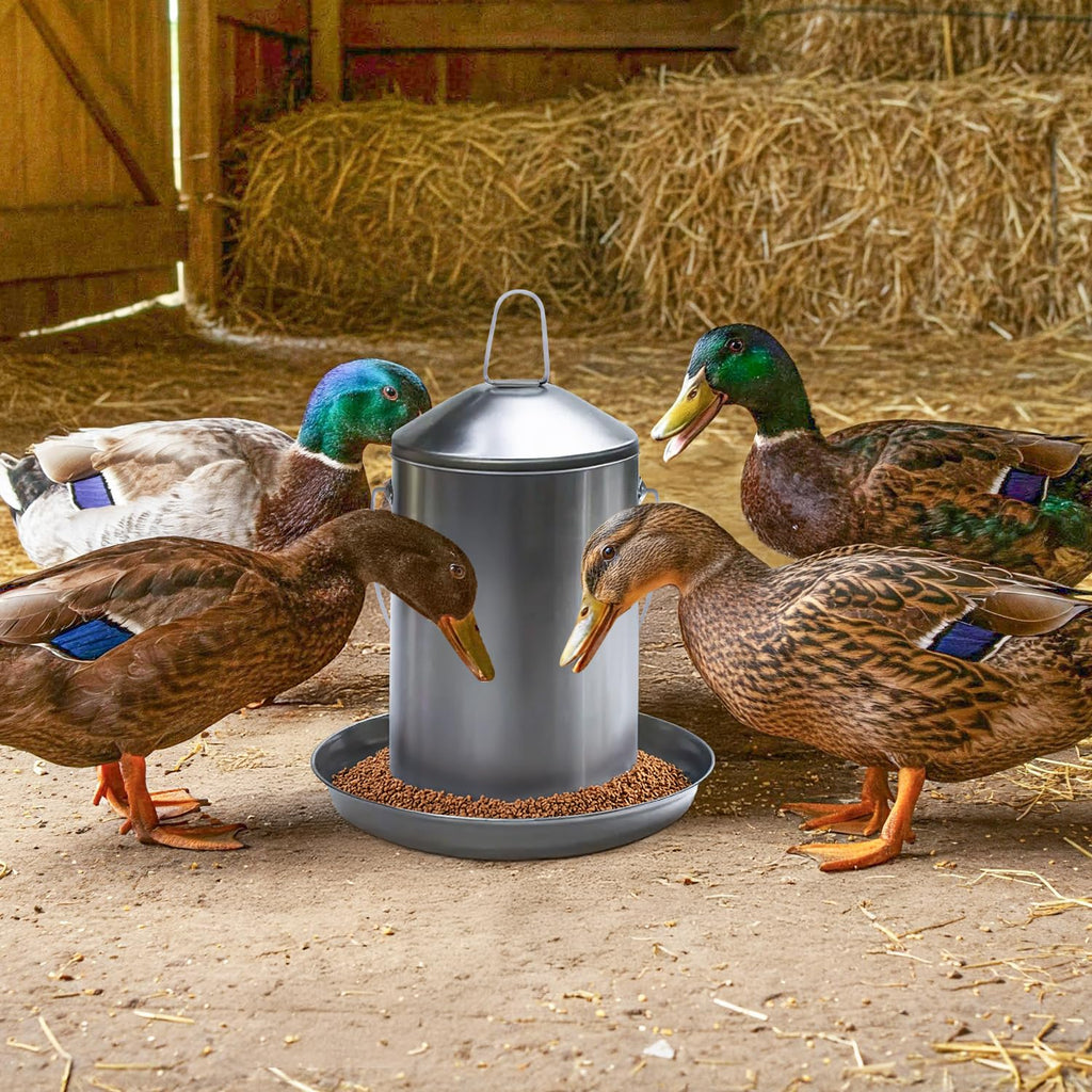 6.6 Lb Stainless Steel Hanging Poultry Feeder with 10 Gallon Storage Bucket L242