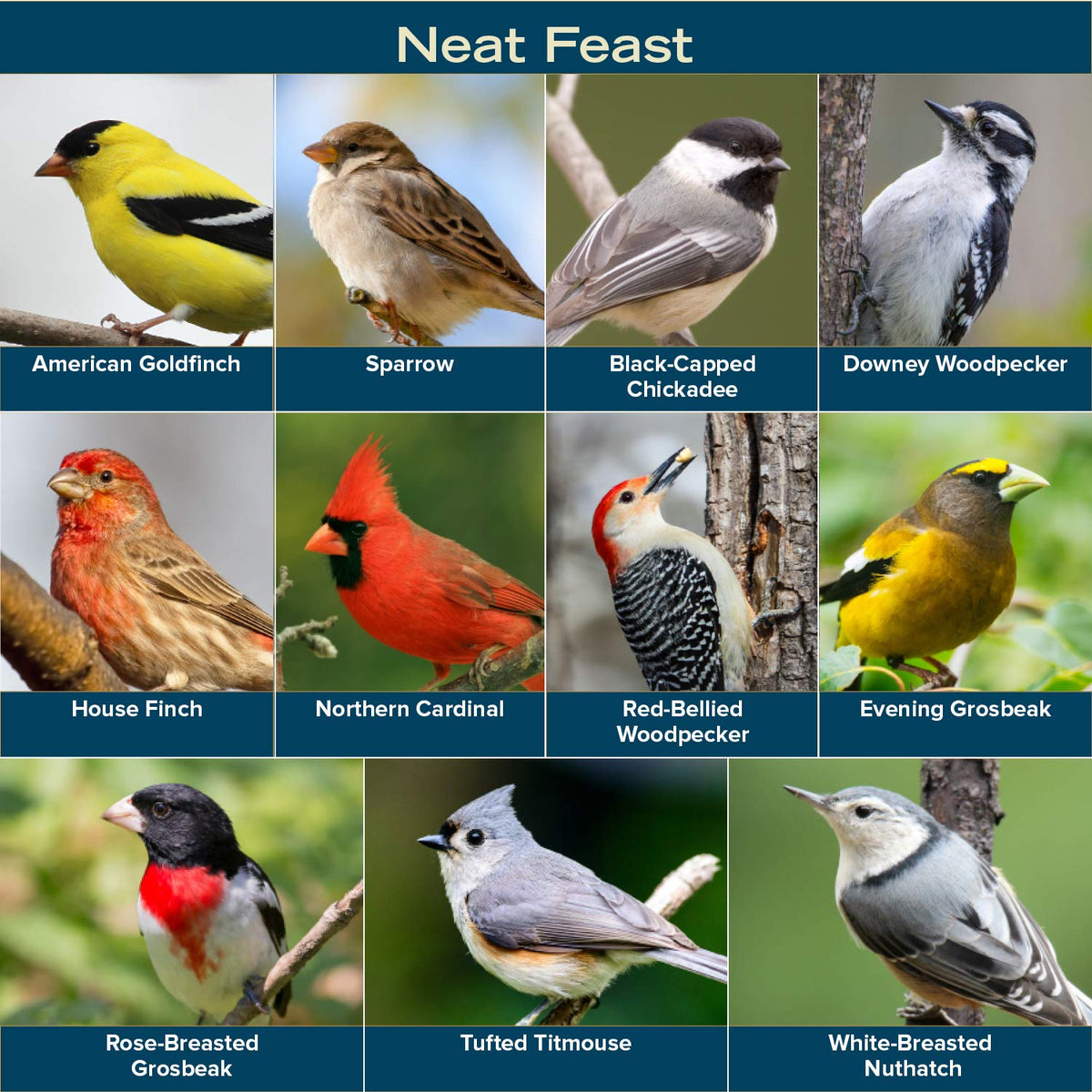 Wild Bird Seed 20 Pound Bag N40811