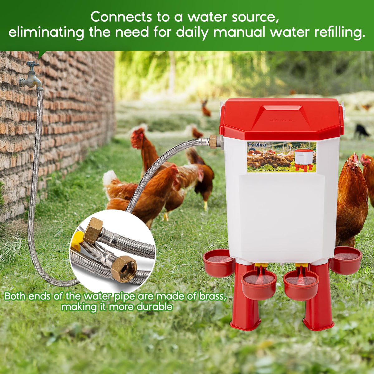 Automatic Chicken Waterer with Stainless Steel Hose H385551