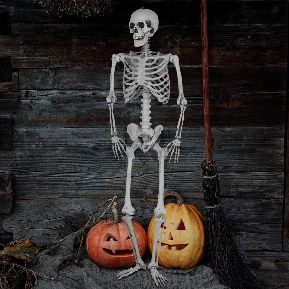 5.4Ft Posable Life Size Full Body Skeleton with Movable Joints N631633