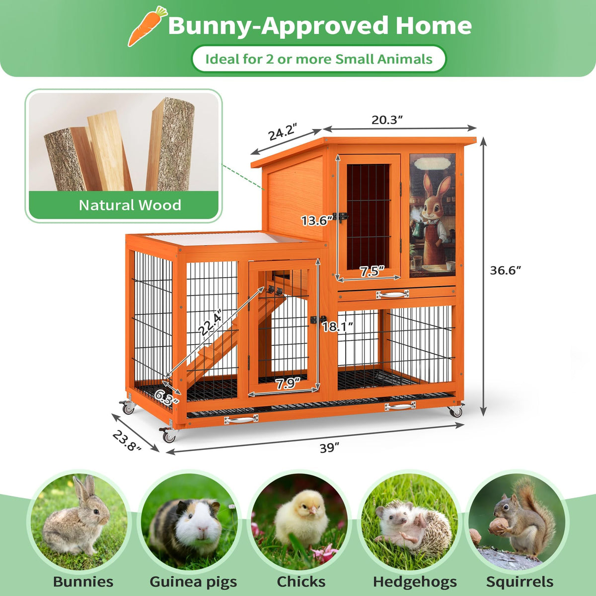 Rabbit Hutch with Wire Floor & Removable Tray P211499