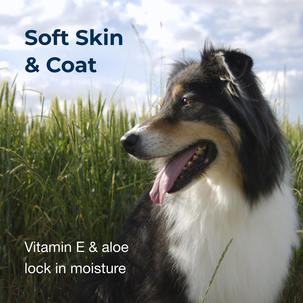 Linen Scented Shampoo 1 Gallon with Vitamin E & Aloe Vera I60812