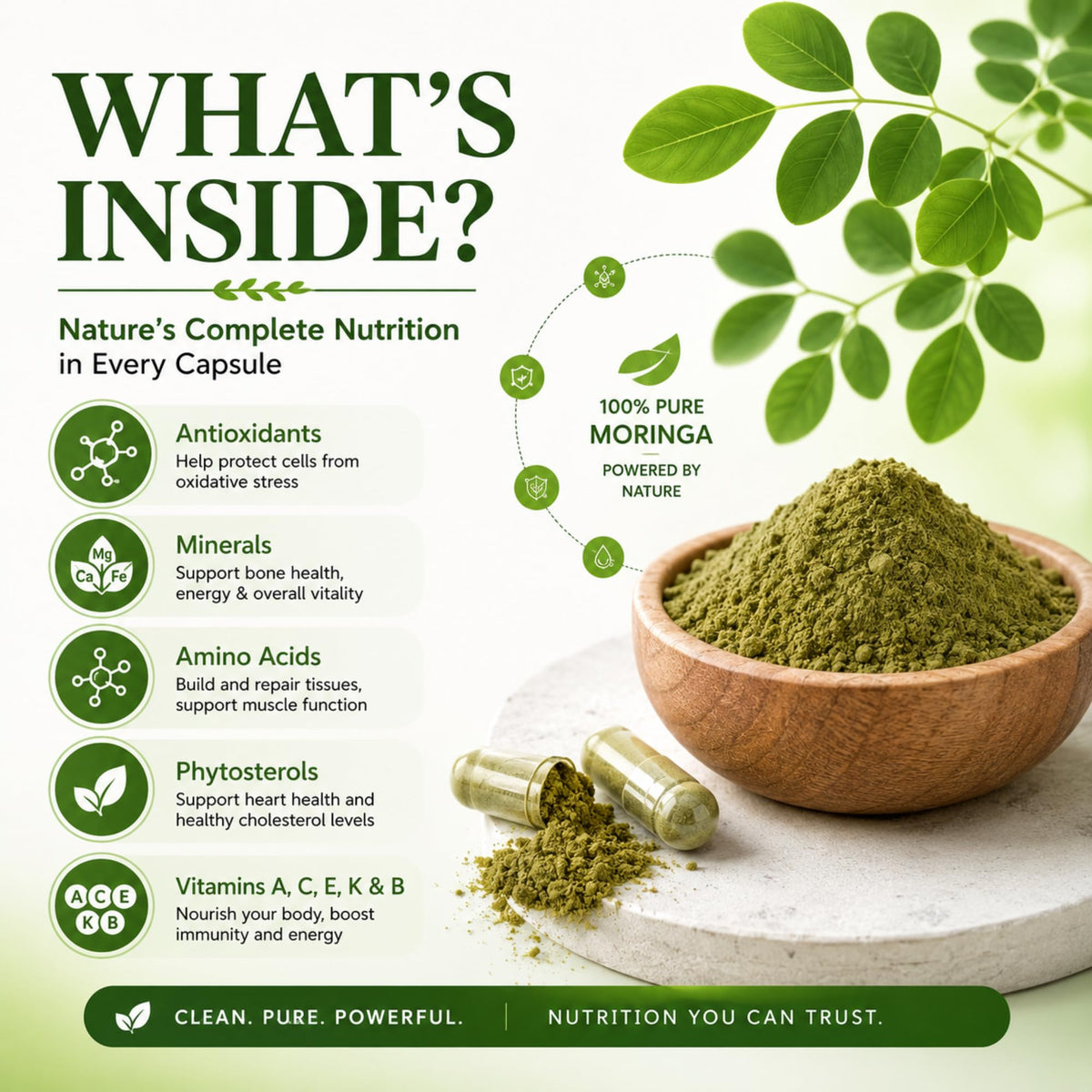 Organic Moringa Capsules 800mg 120 Count M420
